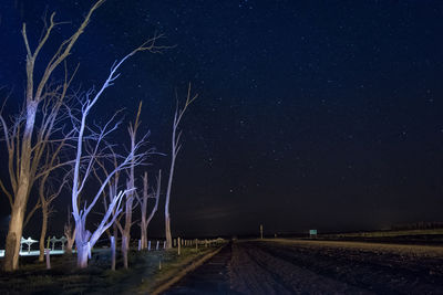 Road amidst bare trees against sky at night
