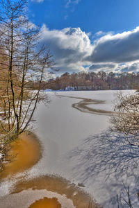 Bare trees on snow covered land against sky