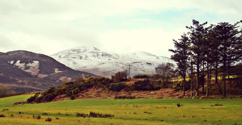 Scenic view of field and mountains against sky