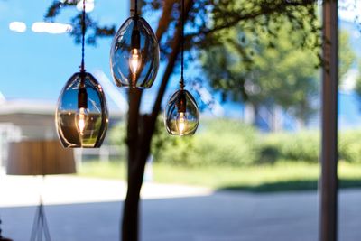 Close-up of lighting equipment hanging against trees