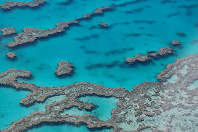 High angle view of coral reef in sea. great barrier reef australia 