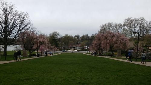 People in park