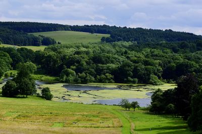 Scenic view of trees growing on field against sky