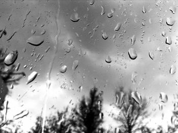 Close-up of water drops on leaf