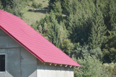 Red umbrella on land against trees in forest