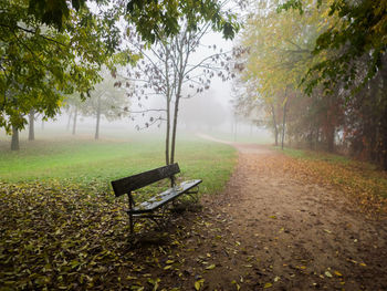 Empty bench in park