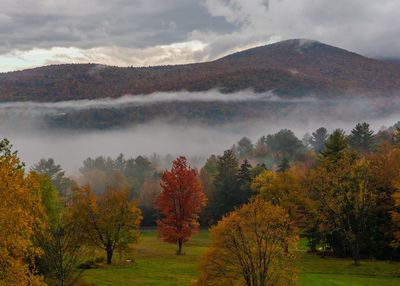 Rain clouds passing through mountains