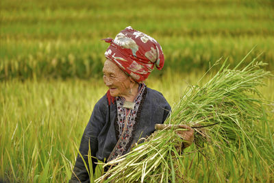 Close-up of crops growing on field