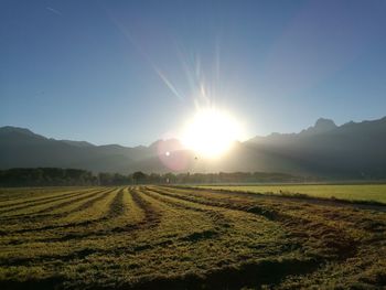 Scenic view of landscape against clear sky