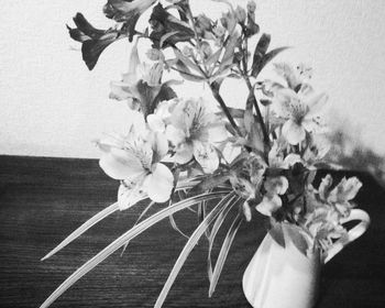 Close-up of white flowers