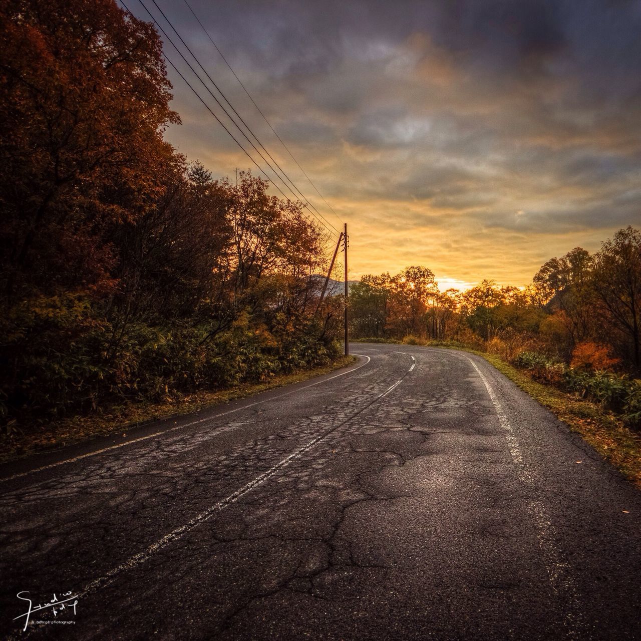 the way forward, sky, diminishing perspective, vanishing point, road, cloud - sky, sunset, tree, transportation, cloudy, empty road, tranquility, tranquil scene, country road, cloud, nature, long, empty, landscape, street