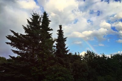 Low angle view of trees against cloudy sky