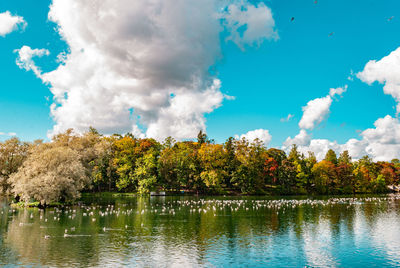 Scenic view of lake by trees against sky