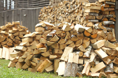 Stack of logs in forest