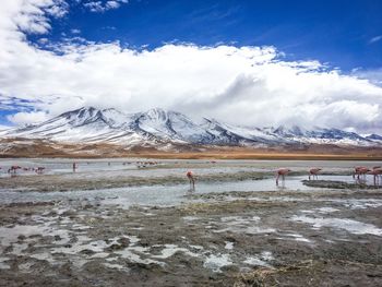 Scenic view of snowcapped mountains against sky