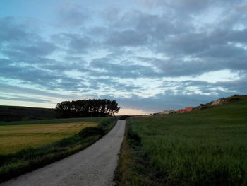 Country road amidst grassy field against cloudy sky