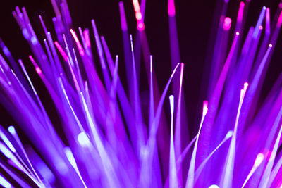 Full frame shot of illuminated fiber optics