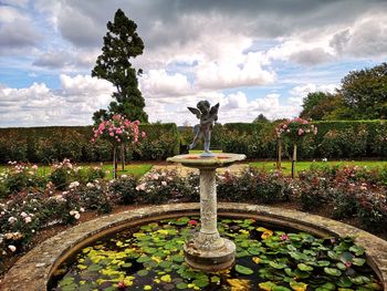 Scenic view of flowering plants in garden against cloudy sky