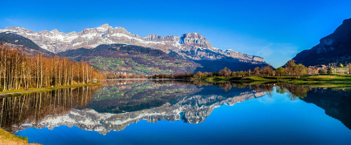 Reflection of trees in calm lake