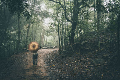 Man with umbrella walking in forest