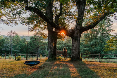 Man sitting on tree trunk in forest