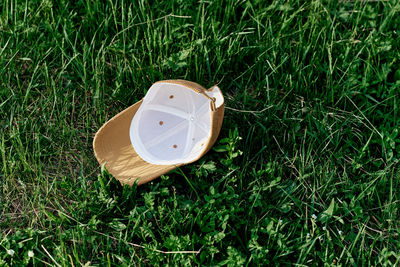 High angle view of hat on grassy field