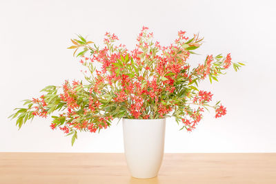 Close-up of vase on table against white background