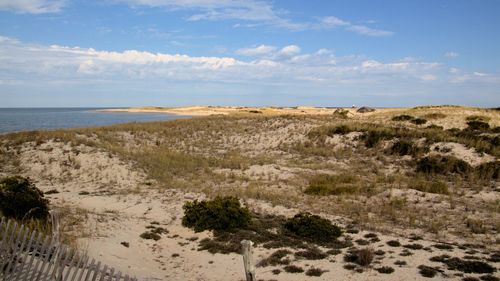 Scenic view of beach against sky