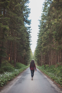 Rear view of man walking in forest