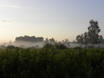 Scenic view of field against sky during sunset