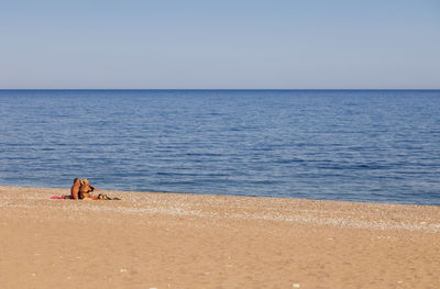 Couple sitting at beach against clear sky