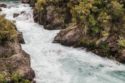 Scenic view of waterfall in forest