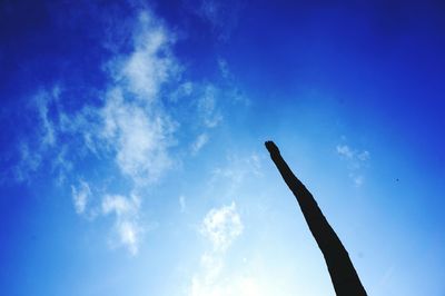 Low angle view of trees against blue sky