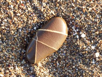 Close-up of pebbles on sand at beach