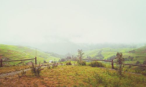 tranquil scene