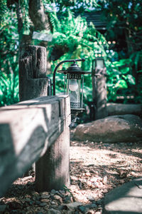 Close-up of wooden post in forest