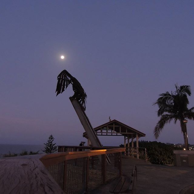 clear sky, copy space, beach, sea, silhouette, built structure, blue, night, sky, water, tree, tranquility, palm tree, illuminated, street light, architecture, shore, leisure activity, outdoors