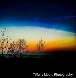 Silhouette bare trees on field against sky at sunset