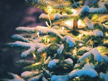 Christmas tree with lighting decoration and snow during winter