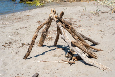 High angle view of driftwood on sand