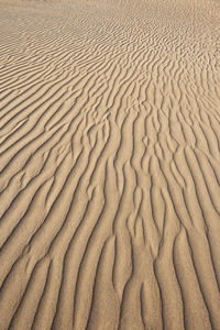 Full frame shot of sand dunes