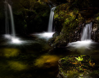 Scenic view of waterfall in forest