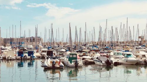 Sailboats moored in harbor