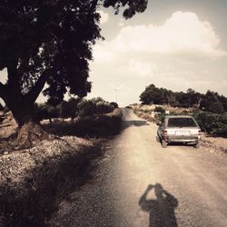 Road passing through trees