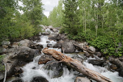 Stream flowing through rocks in forest