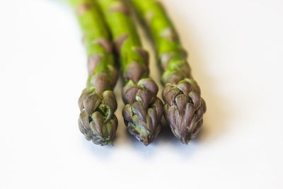 Close-up of food over white background
