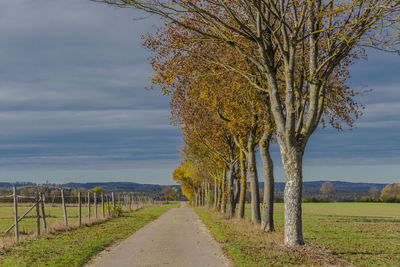 Road amidst trees on field against sky