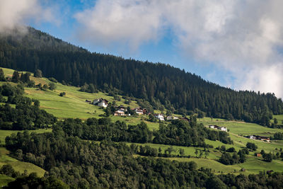 Panoramic shot of trees on field against sky