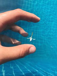 Close-up of hand swimming in sea