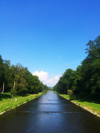 Empty road amidst trees against clear blue sky